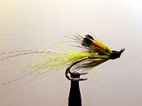 Ally's Shrimp yellow size 11 & 13